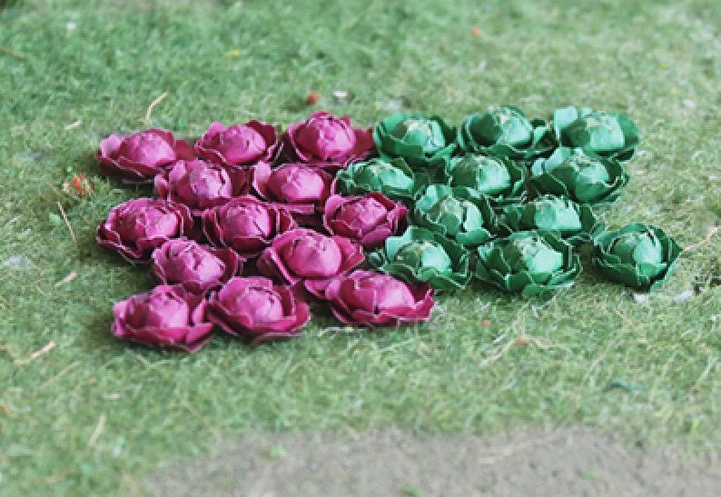 00683 - Cabbages, 18pp (OO)