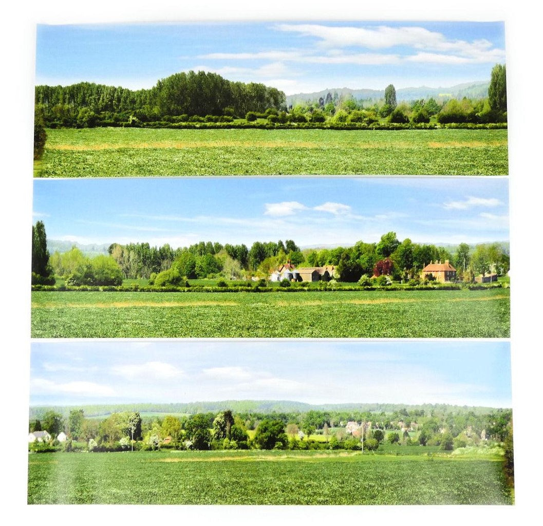 GM703 Open Field Large Photo Backscene (2744x304mm)