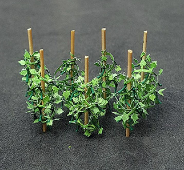 00992 - Cucumber, 12pp (N)