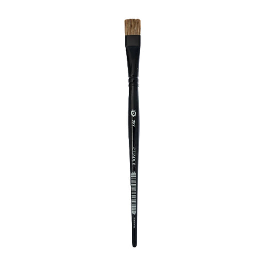 Citadel: Dry Brush Large