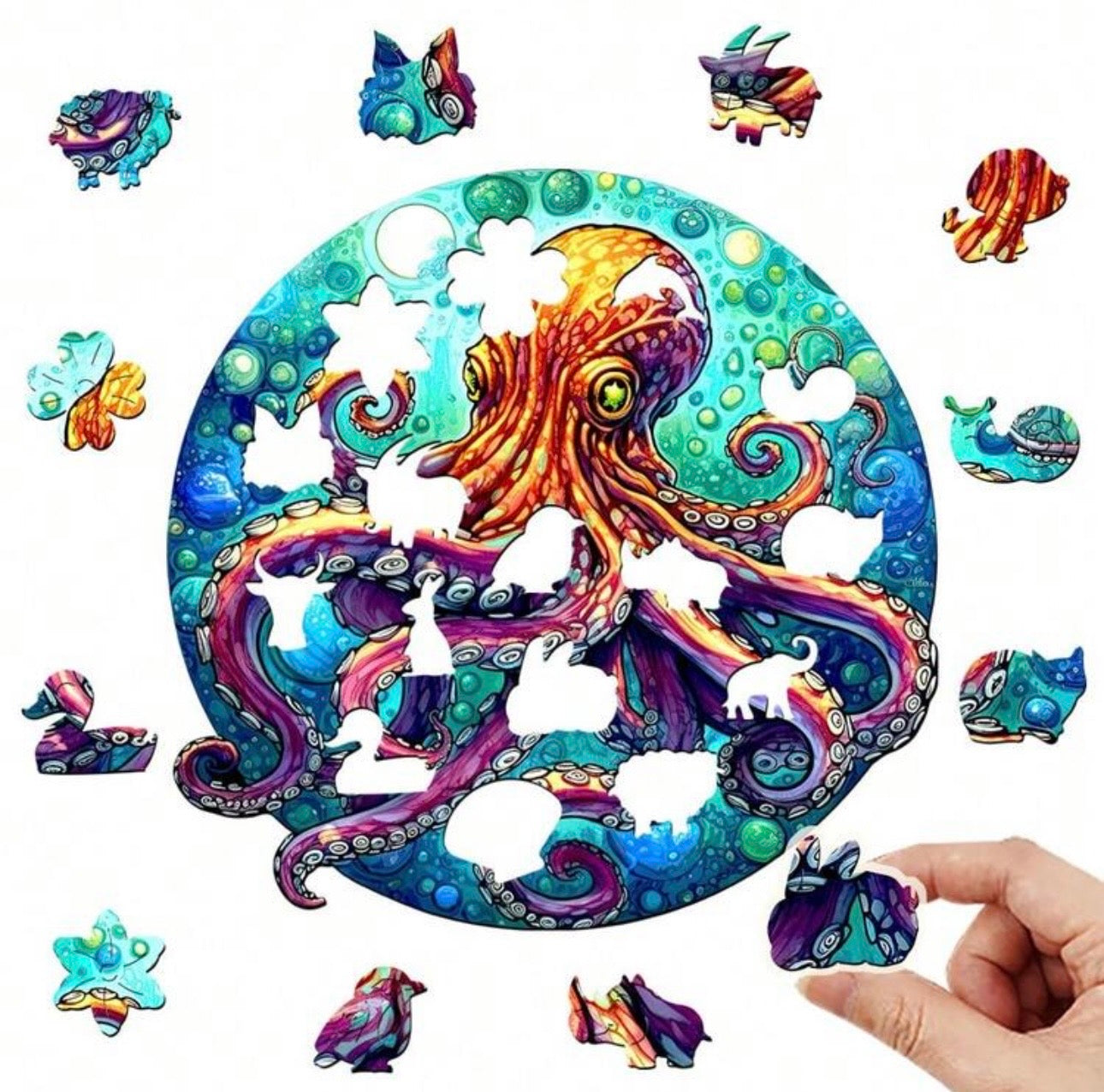 Octopus, 28.3 x 28cm (L)