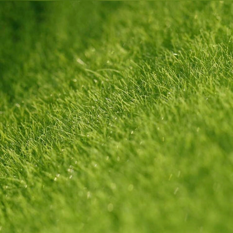 1987 - Static Grass Mat  (30cm x30cm)