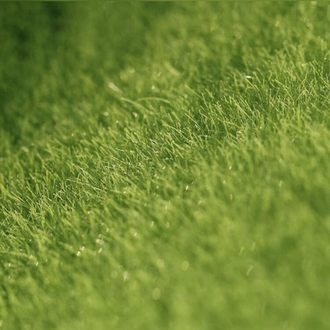 1988 - Static Grass Mat (15cm x 15cm)