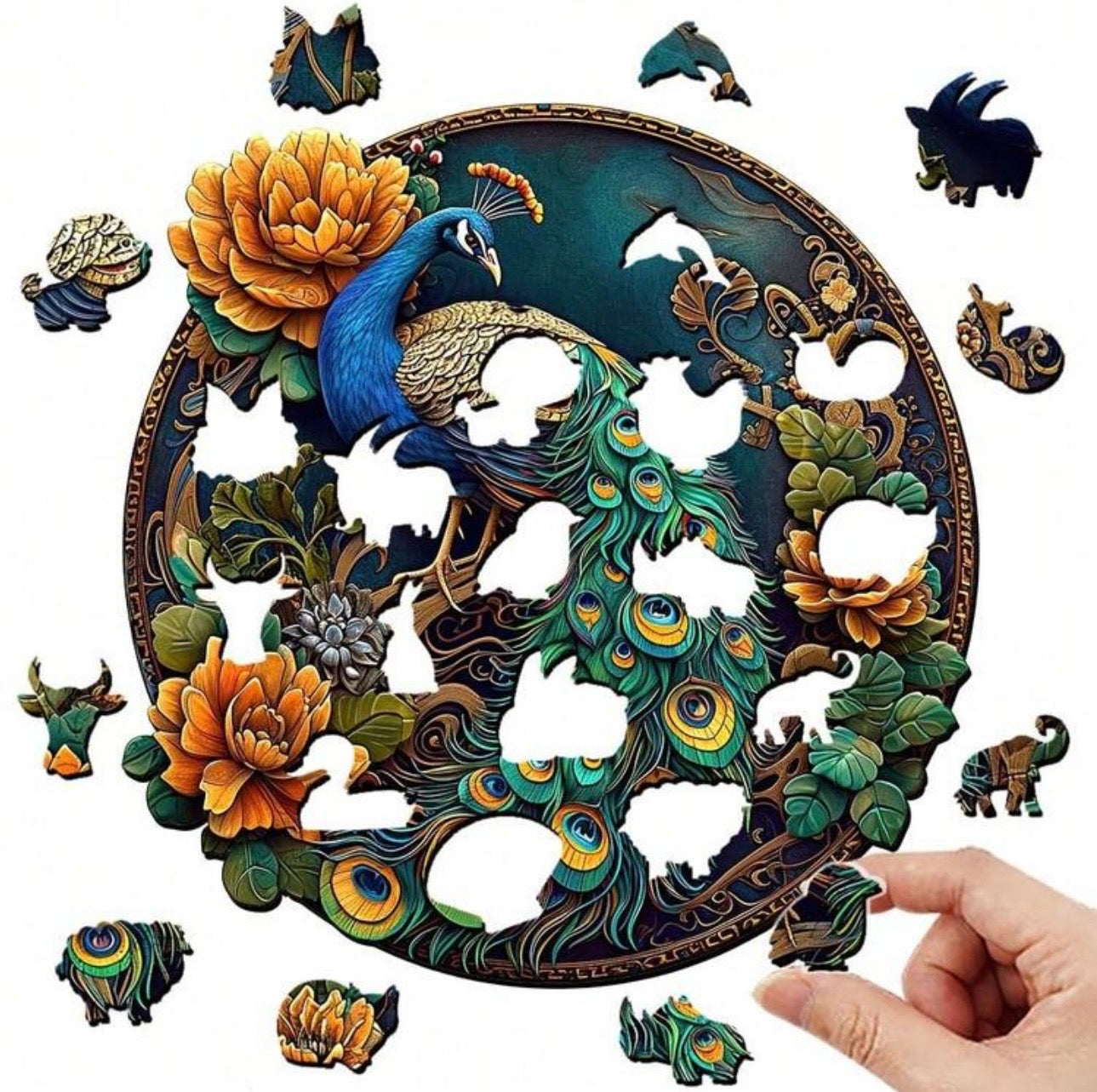 Peacock, 28.3 x 28.3cm (L)