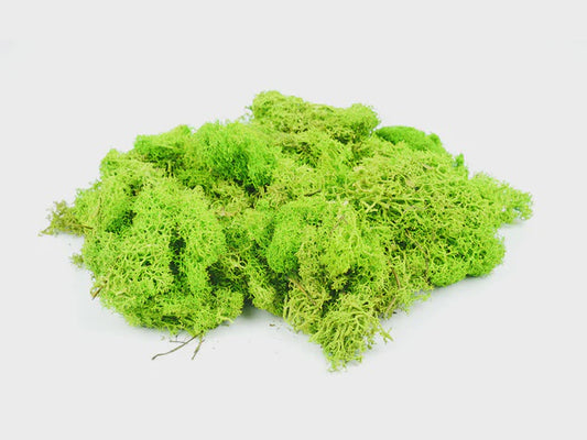 Lichen Light Green 80g, GM1601
