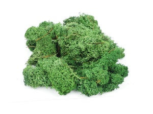 GM1602 - Dark Green Lichen, 80g