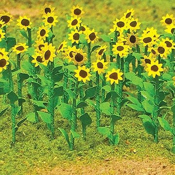 00676 - Sunflowers, 16pp (OO)