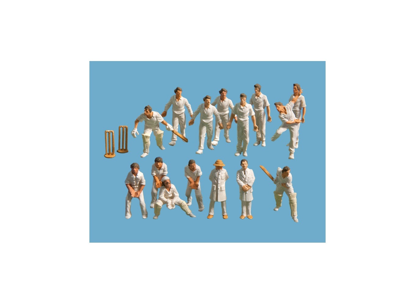 5300 Cricket Team