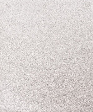 313 - Roughcast Walling (N)