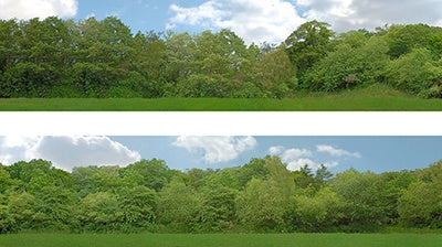95128 149 B 00 GAUGE 15"  TREES