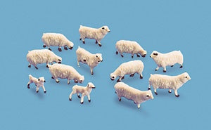 5110 Sheep & lambs